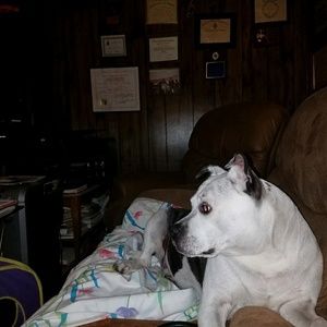 Meet your Posher, Towanna